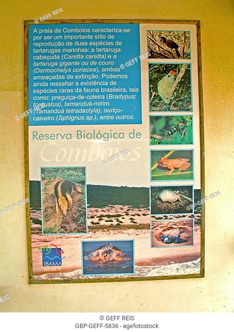 Protective Base, Sea Turtles, Comboios Biological Reserve Espírirto Santo, Brazil