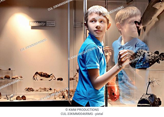 Boy admiring fish models behind glass