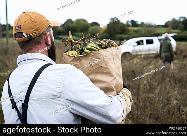 Farmer walking in a field, carrying paper bag with freshly picked gourds