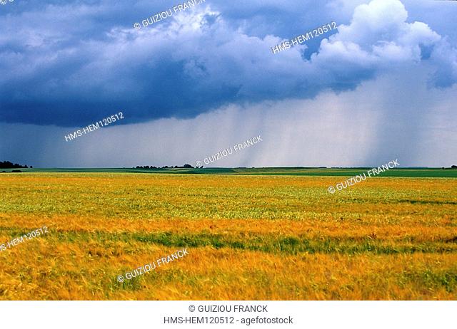 France, Aisne, Tardenois Region, a stormy day