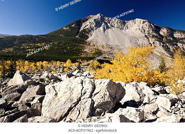 Autumn at Frank Slide in Crowsnest Pass, Alberta, Canada