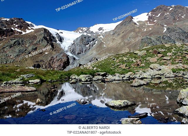 Italy, Central Alps, Stelvio National Park, Mt, Cevedale (3, 769 m ), La Mare Glacier and Mt, Rosole, reflection in alpine lake