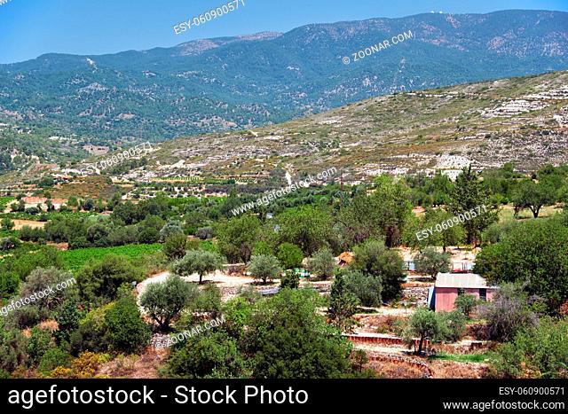 The countryside at the foot of Mount Troodos - the old grape cultivation region. Limassol. Cyprus Limassol. Cyprus