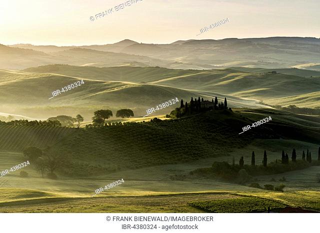 Typical green Tuscan landscape in Val d’Orcia, farm on hill, fields, cypress (Cupressus sp.) trees and morning fog at sunrise, San Quirico d’Orcia, Tuscany