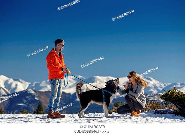 Couple petting dog in snow covered mountain landscape