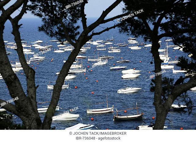 Boats in the Mediterranean at Calella de Palafrugell, coastal town on the Costa Blanca, Catalonia, Spain
