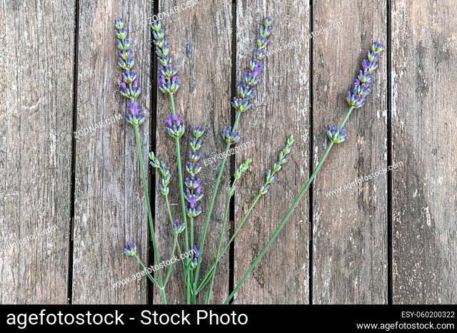 Bouquet of lavender on a wooden garden table. France