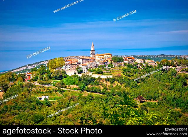 Buzet. Hill town of Buzet surrounded by stone walls in green landscape view. Istria region of Croatia