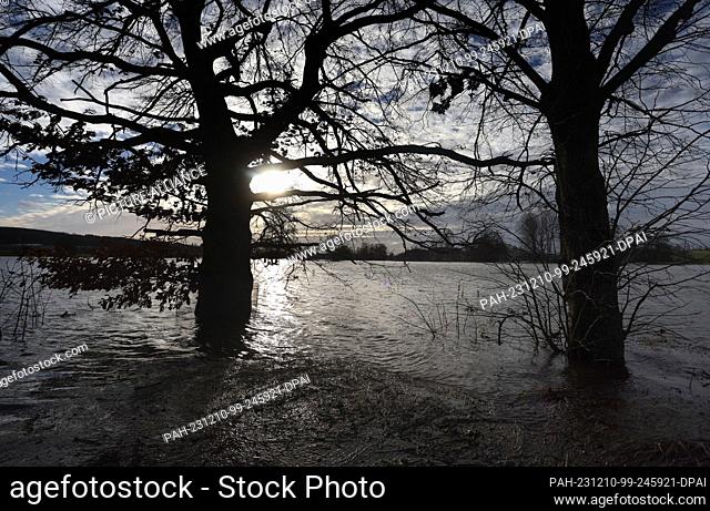10 December 2023, Bavaria, Gessertshausen: Trees stand on meadows flooded by the Schmutter. Photo: Karl-Josef Hildenbrand/dpa