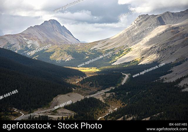 View of mountains Mount Wilcox and Nigel Peak and Wilcox Pass in autumn, Parker Ridge, Sunwapta Pass, Icefields Parkway, Jasper National Park National Park