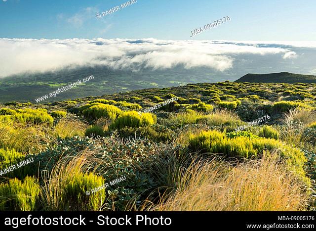 View from Pouakai Track, Egmont National Park, Taranaki, North Island, New Zealand, Oceania