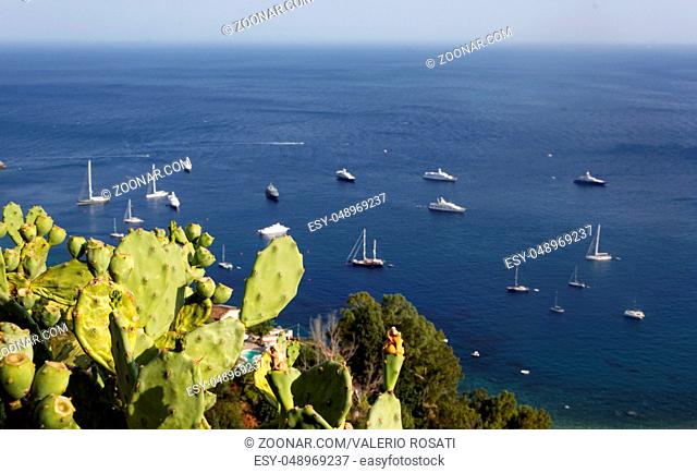 Cactus plant overlooks the ionian sea with boats in Taormina, Sicily, Italy