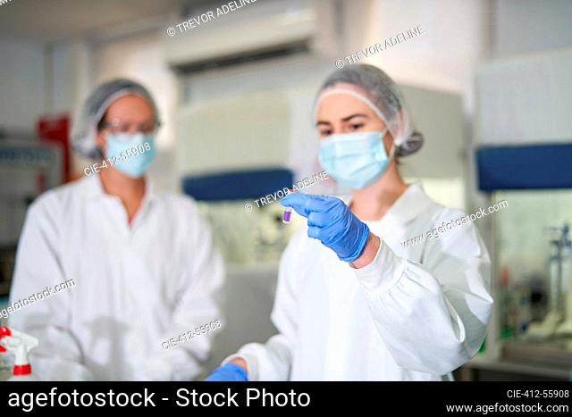 Female scientists in protective workwear examining specimen
