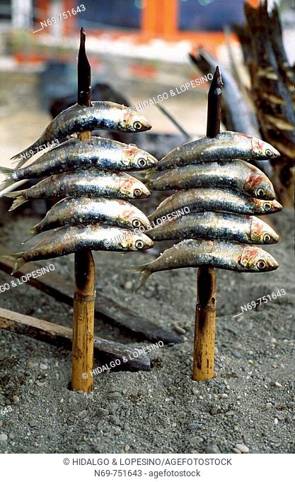 Espetones de sardinas, Nerja, Andalucía, Malaga, Costa del Sol, La Axarquía, Spain