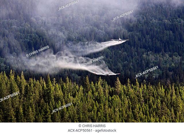 Spruce Budworm Spray Project, Cariboo Region, British Columbia, Canada