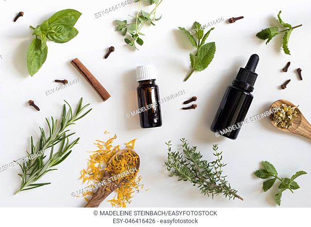 Two bottles of essential oil with a selection of herbs on a white background - peppermint, basil, thyme, rosemary, cinnamon, clove, oregano, chamomile
