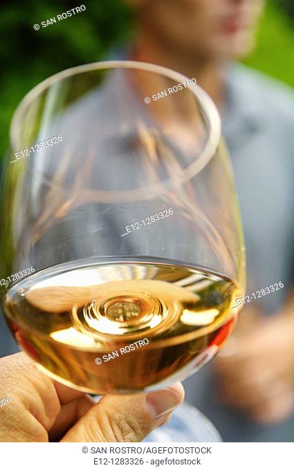 Glass of rosé wine, Bandol AOC, Var, Provence-Alpes-Côte d'Azur, France