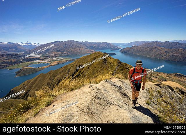 Roys Peak, hike on Lookout Mountain near Wanaka, Queenstown-Lakes District, Otago Region, South Island New Zealand