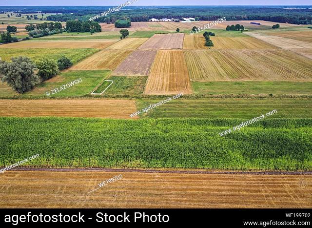 Aerial view of maize and rye fields in Wegrow County, Mazovian Voivodeship of Poland