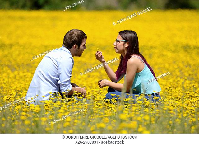 Young couple enjoying the nature in a yellow field