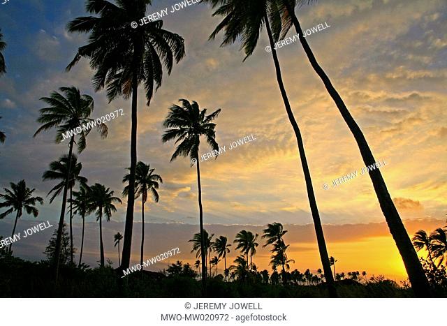 sunrise in tropical paradise with coconut palm trees, Matemo Island, Quirimbas archipelago, Mozambique 09-21-2006