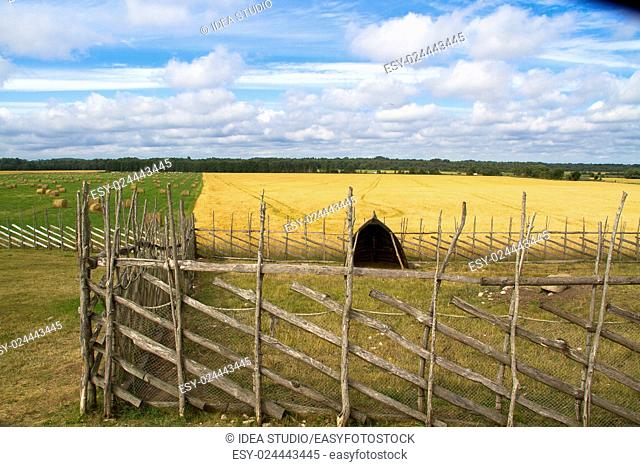 Beautiful wheat field landscape with wooden fence