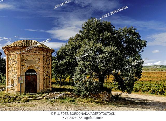 De la Aparecida chapel. Veruela vineyard. Tarazona and Moncayo region, Aragon, Spain
