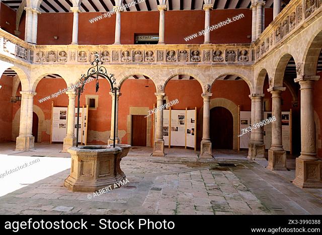 Royal Schools of tortosa. The Royal Schools are located within the Historic Artistic Complex of the city of Tortosa and are the most important Renaissance...