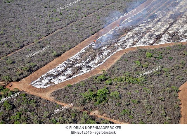 Aerial view from a Cessna aircraft, illegal burning in the Gran Chaco, trunks, branches and twigs of the destroyed forest are burned to create the future fields