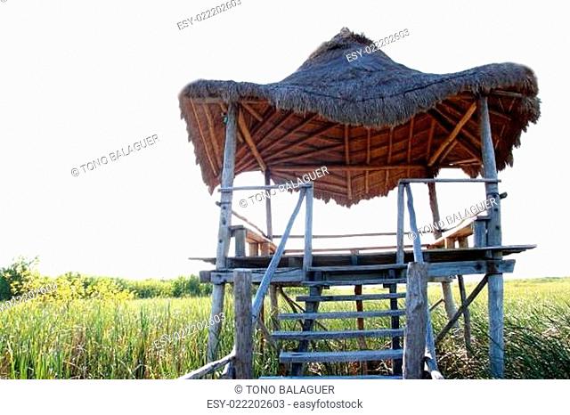 hut palapa in mangrove reed wetlands