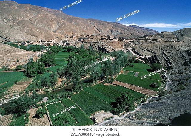 Agricultural landscape in the Dades valley, Morocco, High Atlas Mountains, Morocco