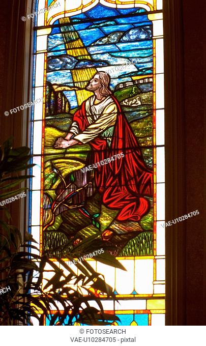 Stained glass window of Jesus praying in the Garden of Gethsemane Vasa Lutheran Church
