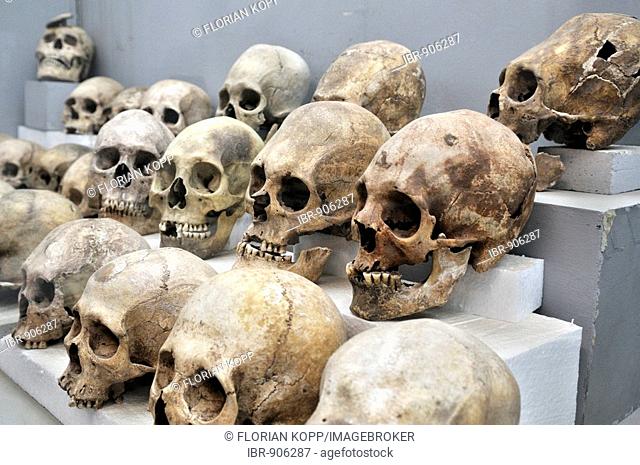 Deformed skulls from the Tihuanaku Culture, UNESCO World Heritage, La Paz, Bolivia, South America