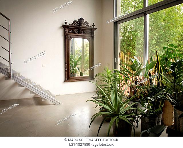 Access to the garden. Big wooden mirror. Metallic staircase. Interior plants. Interior designed by Gabriel Rodriguez
