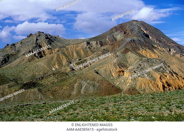 Green hills of Death Valley during El Nino winter, Panamint Range, California