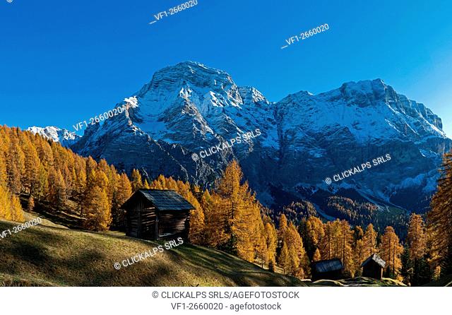 Alta Badia, Dolomites, South Tyrol, Italy. Autumn at the pastures of Ciavaza. In the background the Sasso delle Nove / Neunerspitze and the Sasso delle Dieci /...