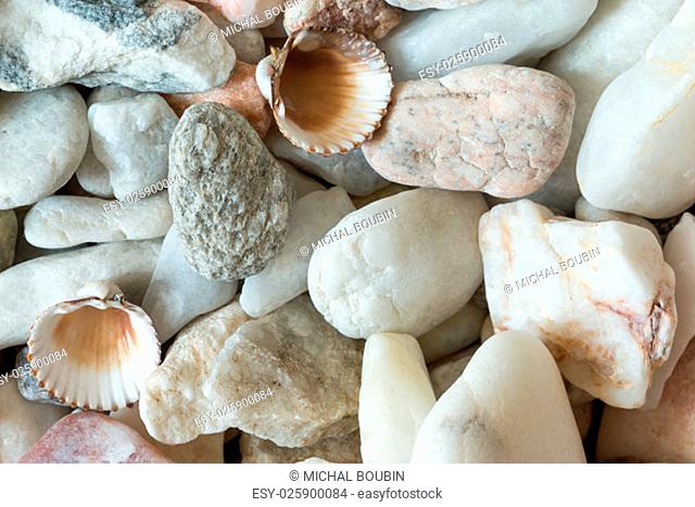 Detail of the various sea pebbles - gravel stones