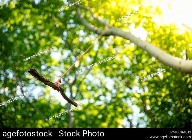Close up of wooden swing on a tree, outdoors in the wood