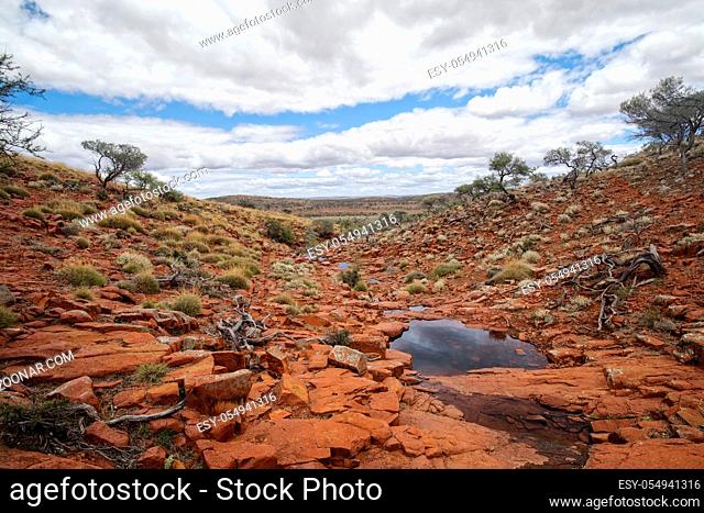 South Australia – Outback desert with scrubs and trees under cloudy sky as panorama