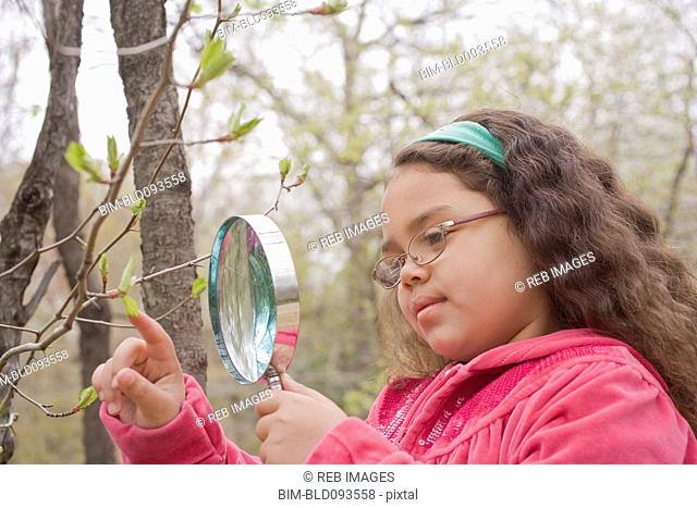 Hispanic girl looking at leaf with magnifying glass