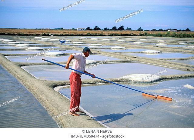 France, Vendee, Ile de Noirmoutier, Epine du Marais road of Pornichet, cooking salt harvesting