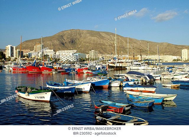 Fishing boats in harbour, Los Cristianos, Tenerife, Canary Islands, Spain