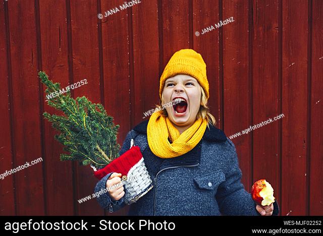 Laughing boy standing in front of wooden wall with potted Chritsmas tree and candied apple