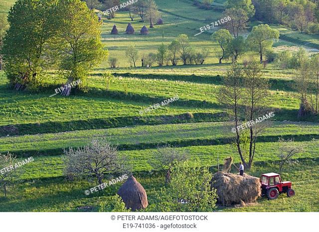 Hay stacks & agricultural landscape near Budesti, Maramures, Romania