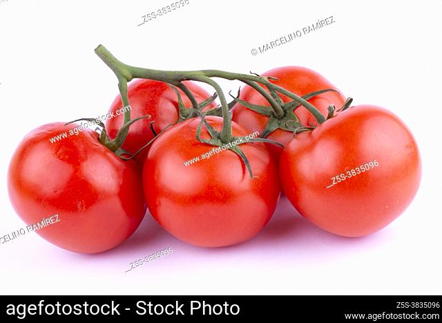 Red Tomato with Stem. The tomato is the edible berry of the plant Solanum lycopersicum, commonly known as a tomato plant. Andalucia, Spain, Europe