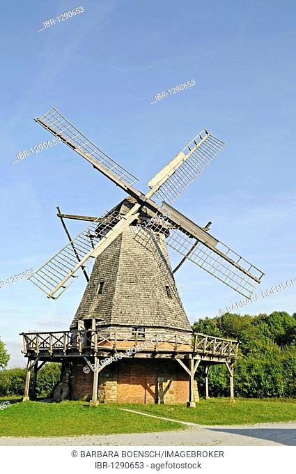 Dutch-style windmill, open-air museum, Westphalian State Museum for Ethnology, Detmold, North Rhine-Westphalia, Germany, Europe