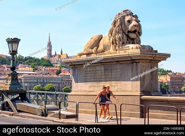 One of the four guardian lions of the Szechenyi Chain Bridge - Budapest, Hungary