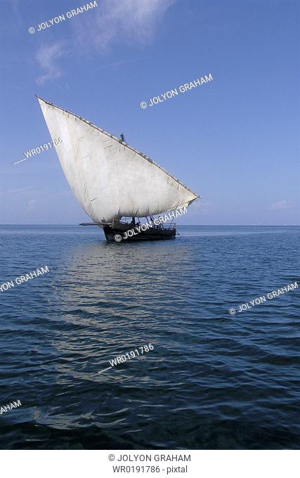 Traditional Dhow sailing past on our way to the dive site Pemba Island Tanzania