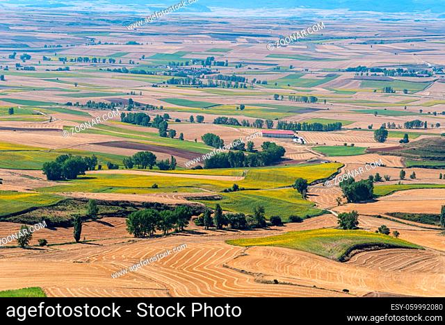 High angle view of farmland with fields for sunflower cultivation. Summer time, La Bureba, Burgos