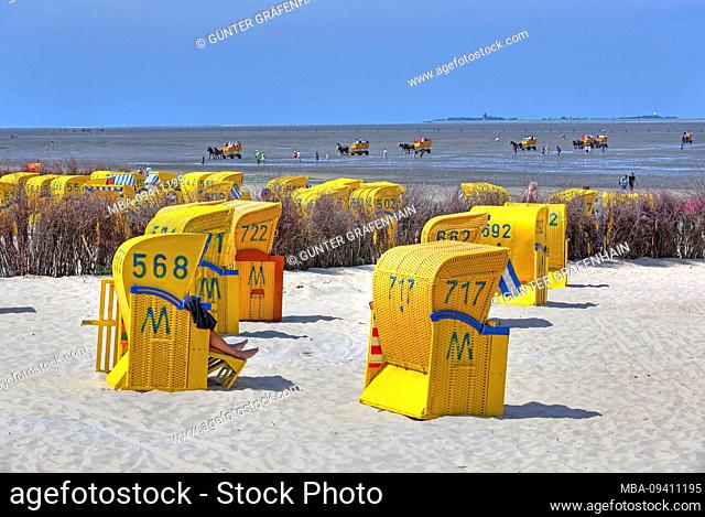 Beach with beach chairs on the Wadden Sea at low tide with Wattwagen from the island Neuwerk in the district of Duhnen, North Sea resort Cuxhaven, Elbe estuary